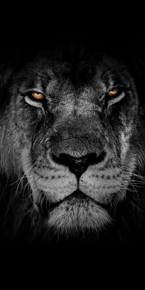 Powerful Resilience 2 art print by Marcus Prime for $57.95 CAD