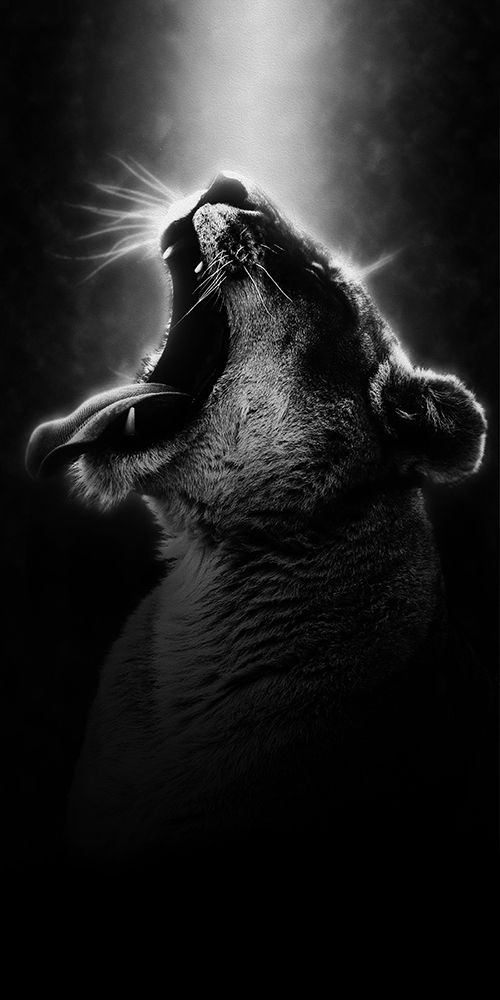 Powerful Resilience 3 art print by Marcus Prime for $57.95 CAD