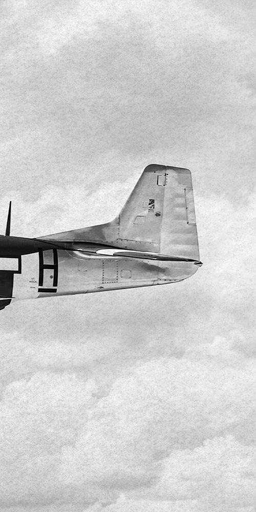 Flying Beauty 3 art print by Marcus Prime for $57.95 CAD