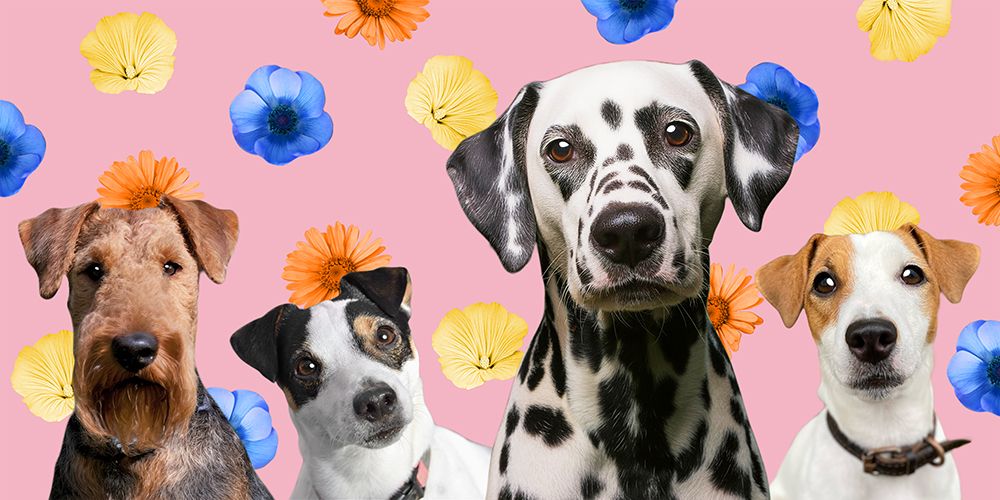 Dog Friends 2 art print by Marcus Prime for $57.95 CAD
