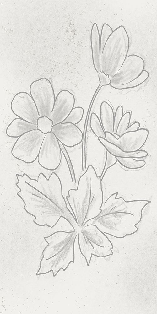 Illustrious Florals 1 art print by Marcus Prime for $57.95 CAD