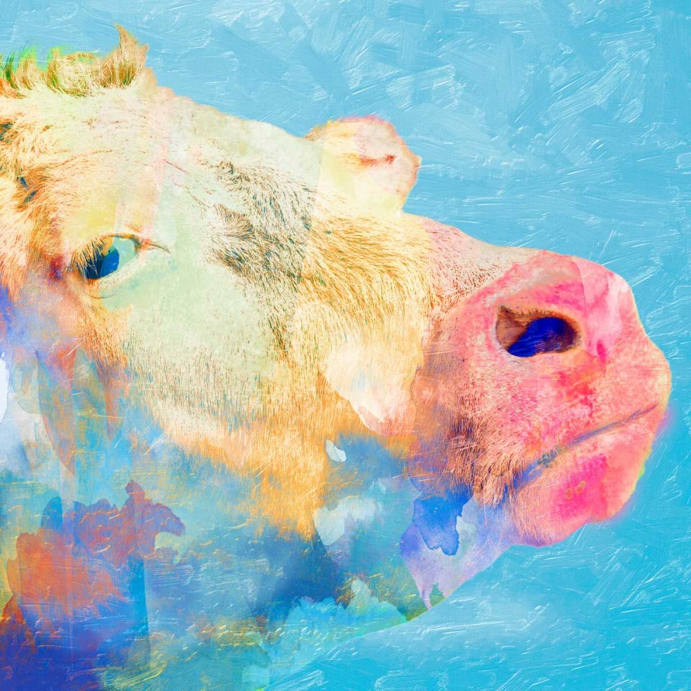 Summer Time Angus art print by Marcus Prime for $57.95 CAD