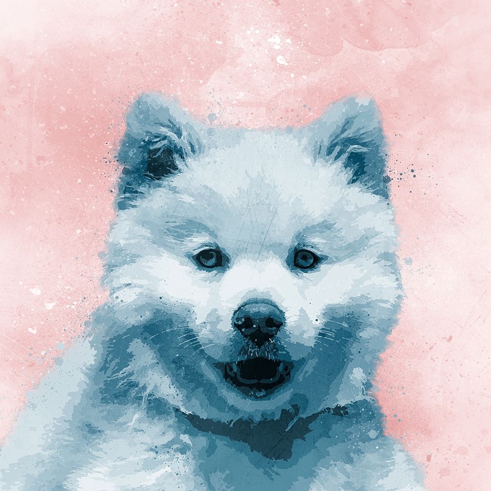 Husky Splat art print by Marcus Prime for $57.95 CAD