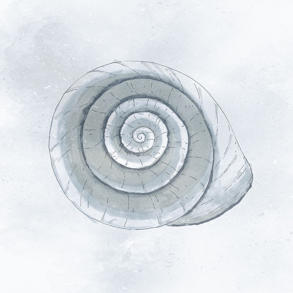 Shell Storm art print by Marcus Prime for $57.95 CAD