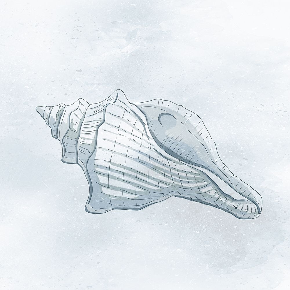 Shell Storm 2 art print by Marcus Prime for $57.95 CAD