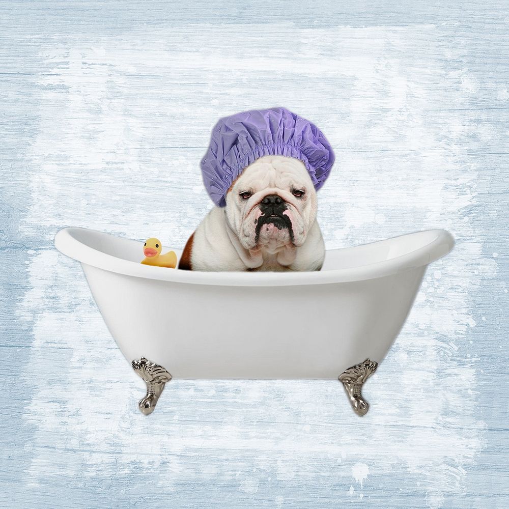 Bath Giggles 1 art print by Marcus Prime for $57.95 CAD
