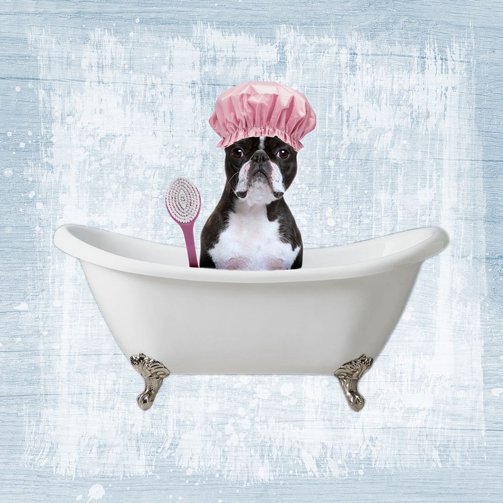 Bath Giggles 2 art print by Marcus Prime for $57.95 CAD