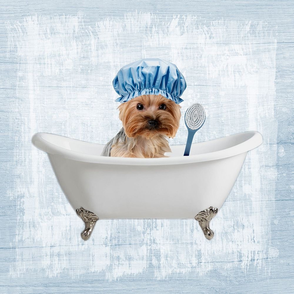 Bath Giggles 4 art print by Marcus Prime for $57.95 CAD