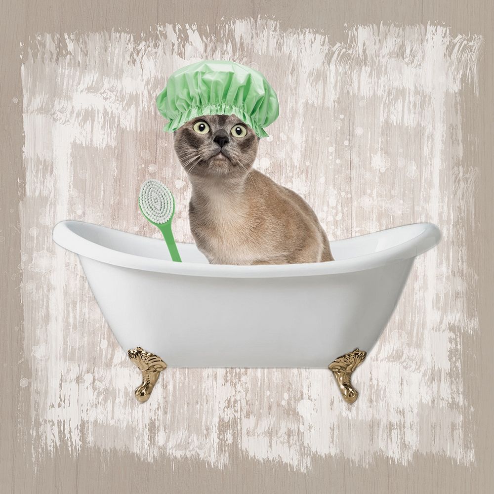 Kitty Baths 3 art print by Marcus Prime for $57.95 CAD