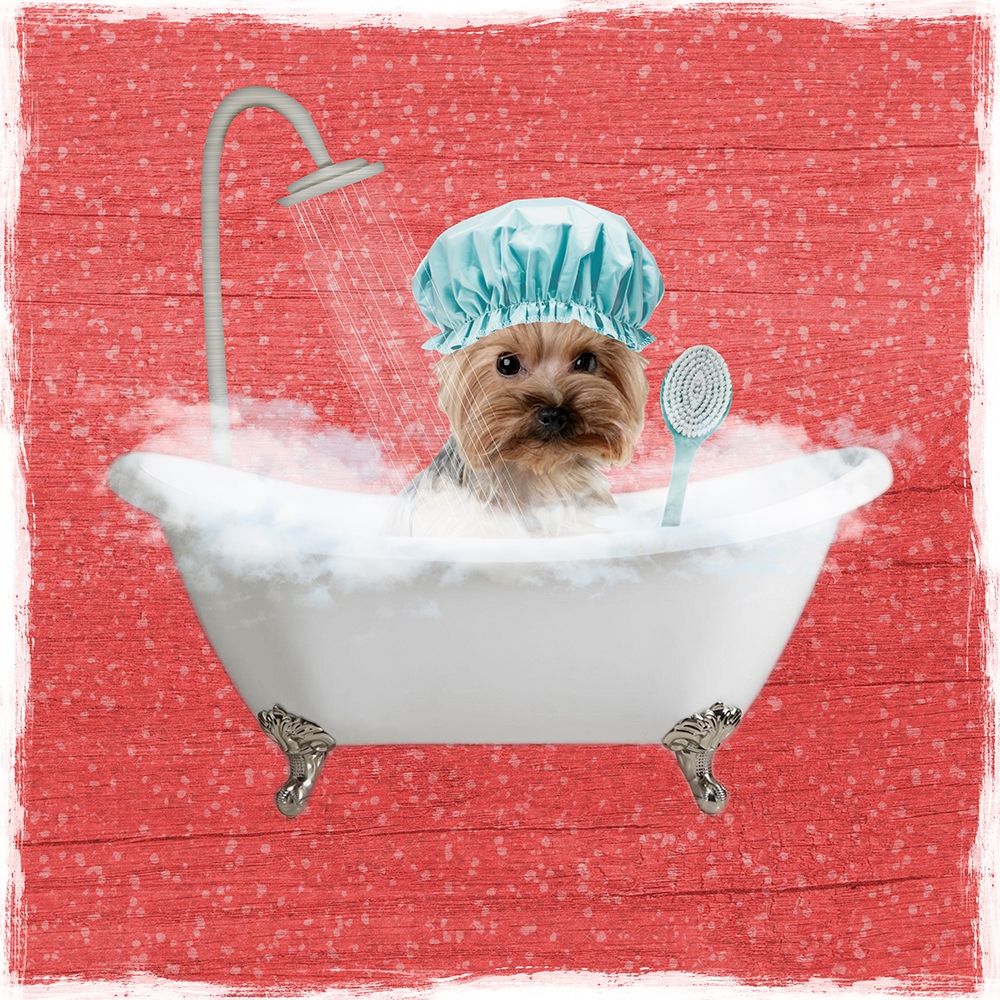 Steamy Bath 1 art print by Marcus Prime for $57.95 CAD