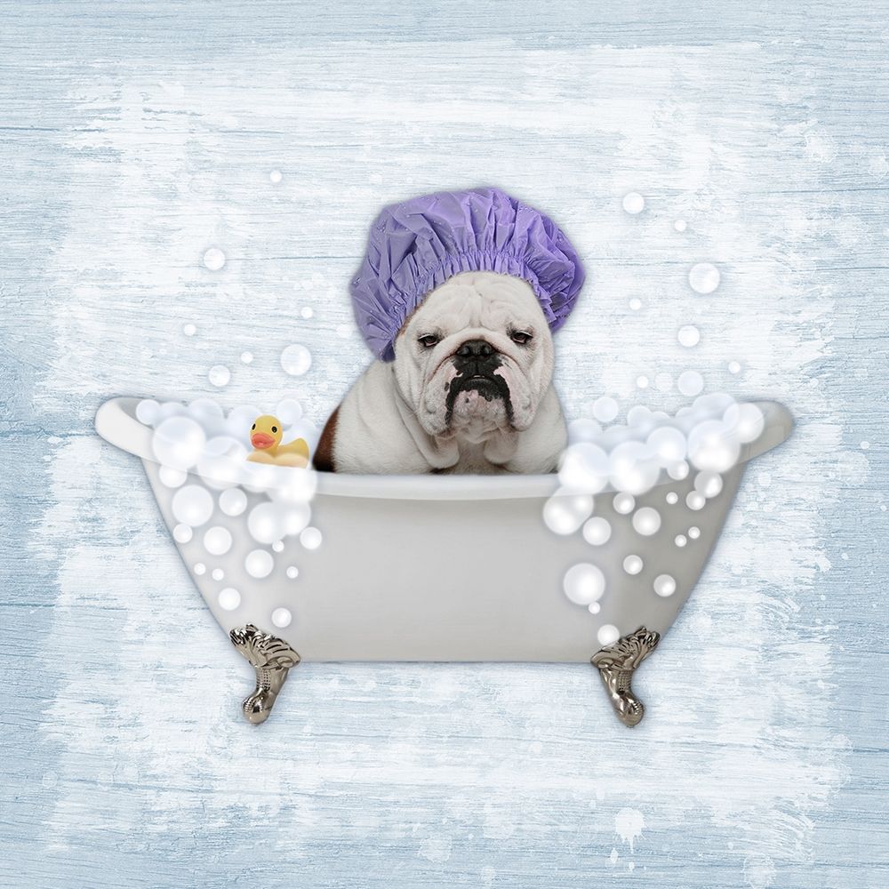 Bath Time Bubbles 1 art print by Marcus Prime for $57.95 CAD