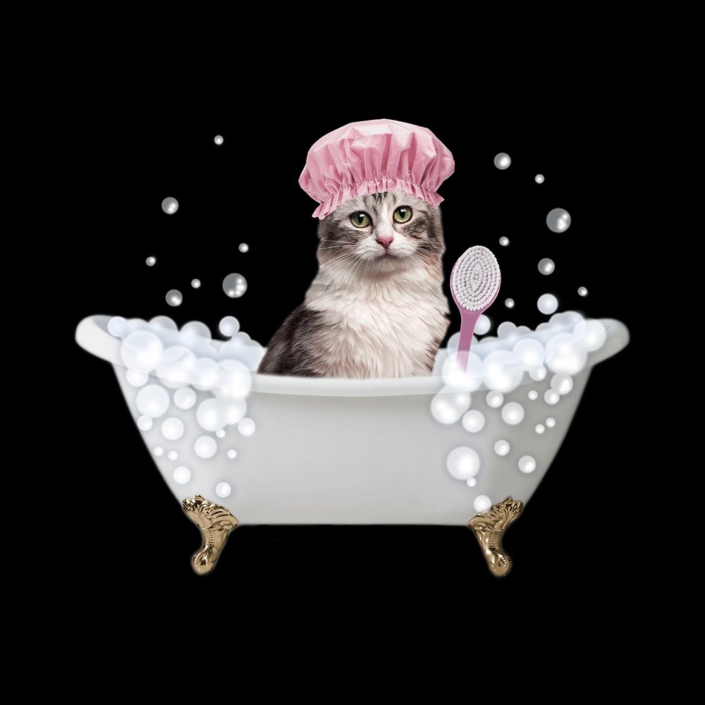 Fun Kitty Bath 3 art print by Marcus Prime for $57.95 CAD