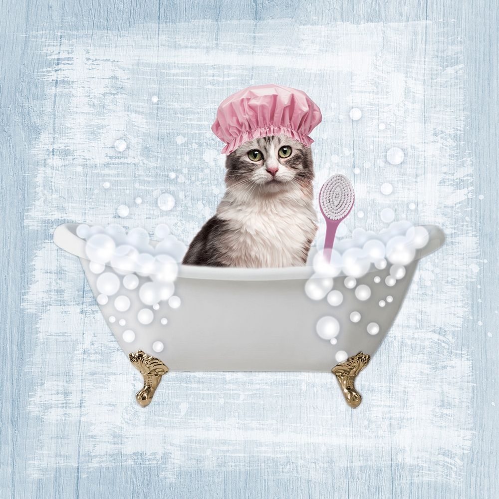 Fun Kitty Bath 1 art print by Marcus Prime for $57.95 CAD