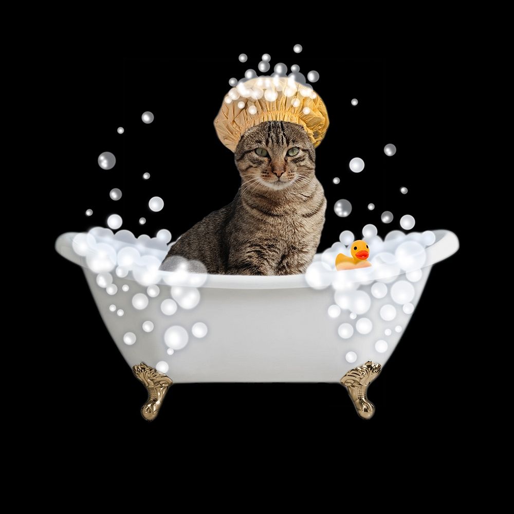 Fun Kitty Bath 4 art print by Marcus Prime for $57.95 CAD