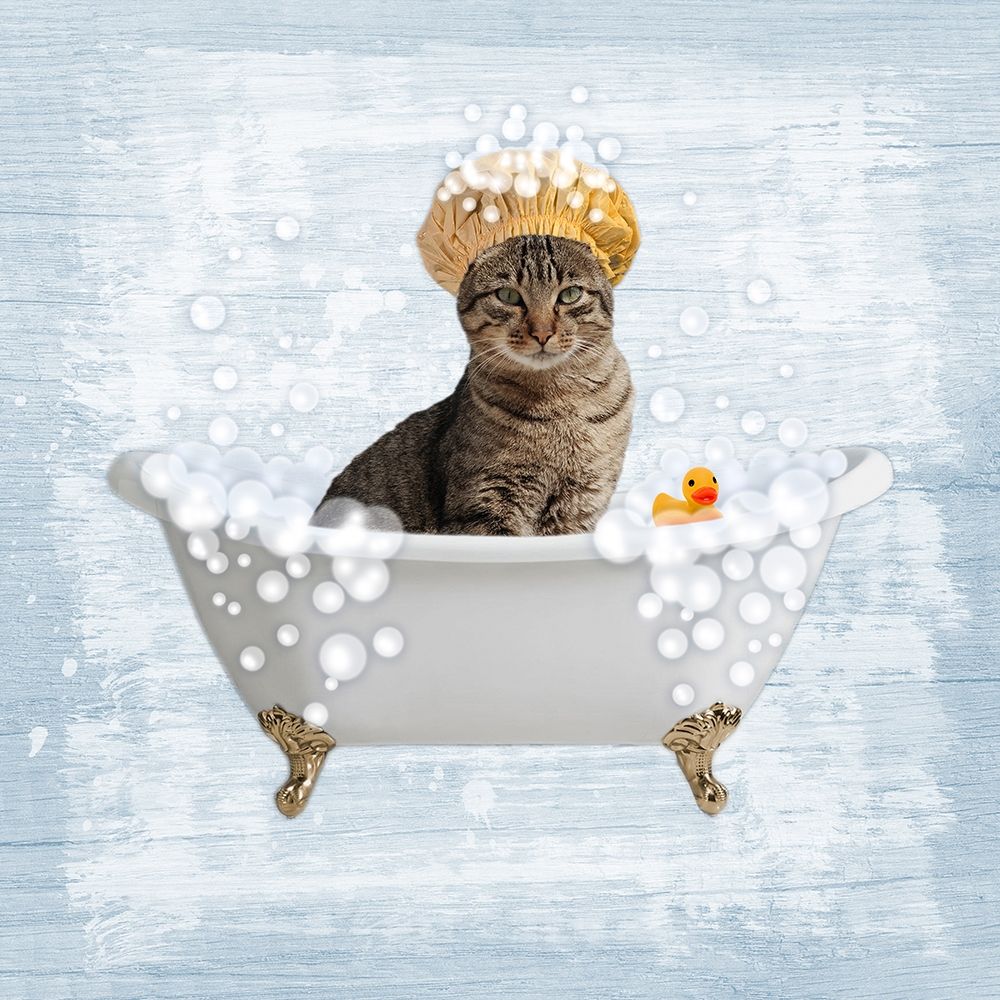 Fun Kitty Bath 2 art print by Marcus Prime for $57.95 CAD