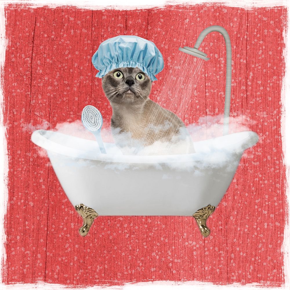 Sparkling Kitty 2 art print by Marcus Prime for $57.95 CAD