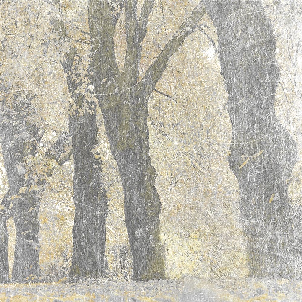 Lost Woods 1 art print by Marcus Prime for $57.95 CAD
