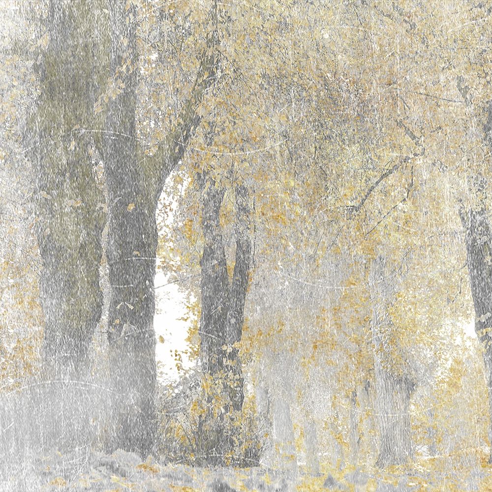 Lost Woods 2 art print by Marcus Prime for $57.95 CAD
