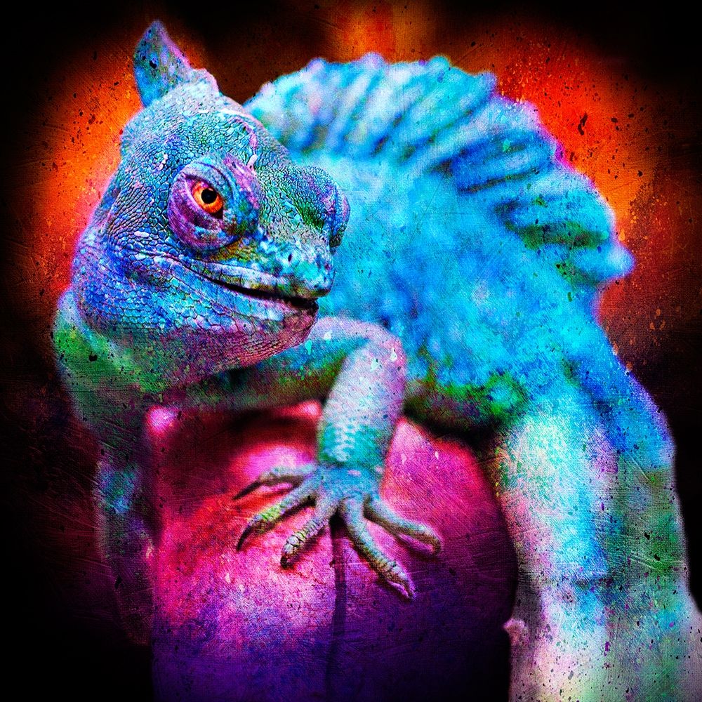 Party Gecko art print by Marcus Prime for $57.95 CAD