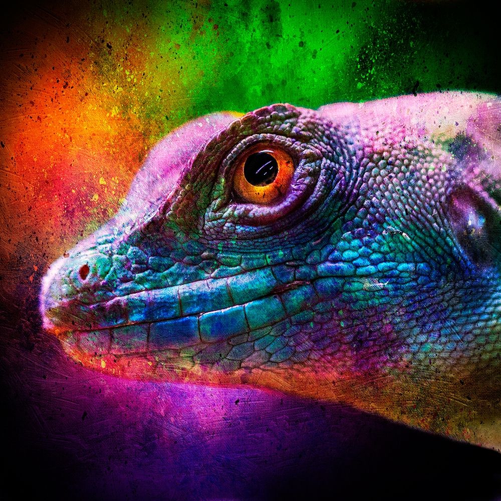 Party Lizard art print by Marcus Prime for $57.95 CAD