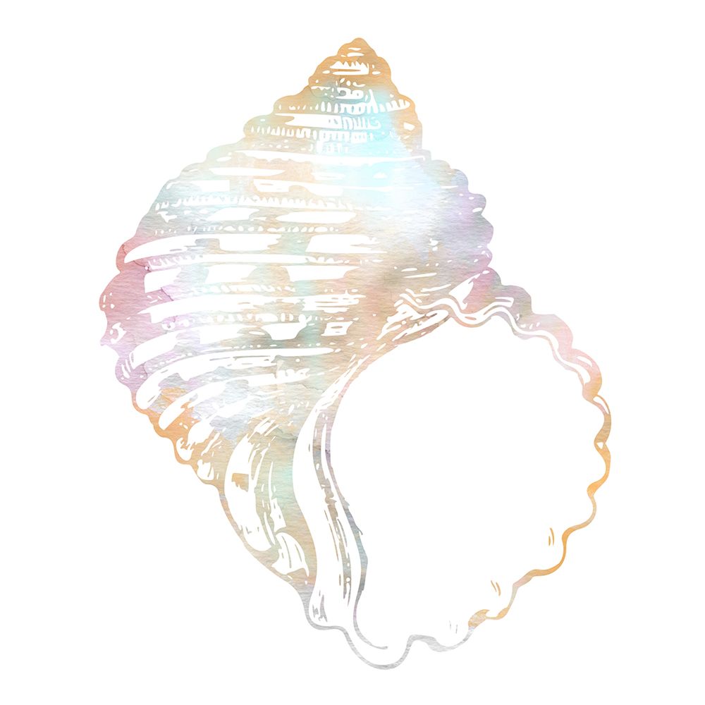Brilliant Shells 1 art print by Marcus Prime for $57.95 CAD