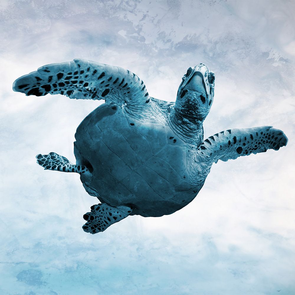 Underwater Friends 2 art print by Marcus Prime for $57.95 CAD