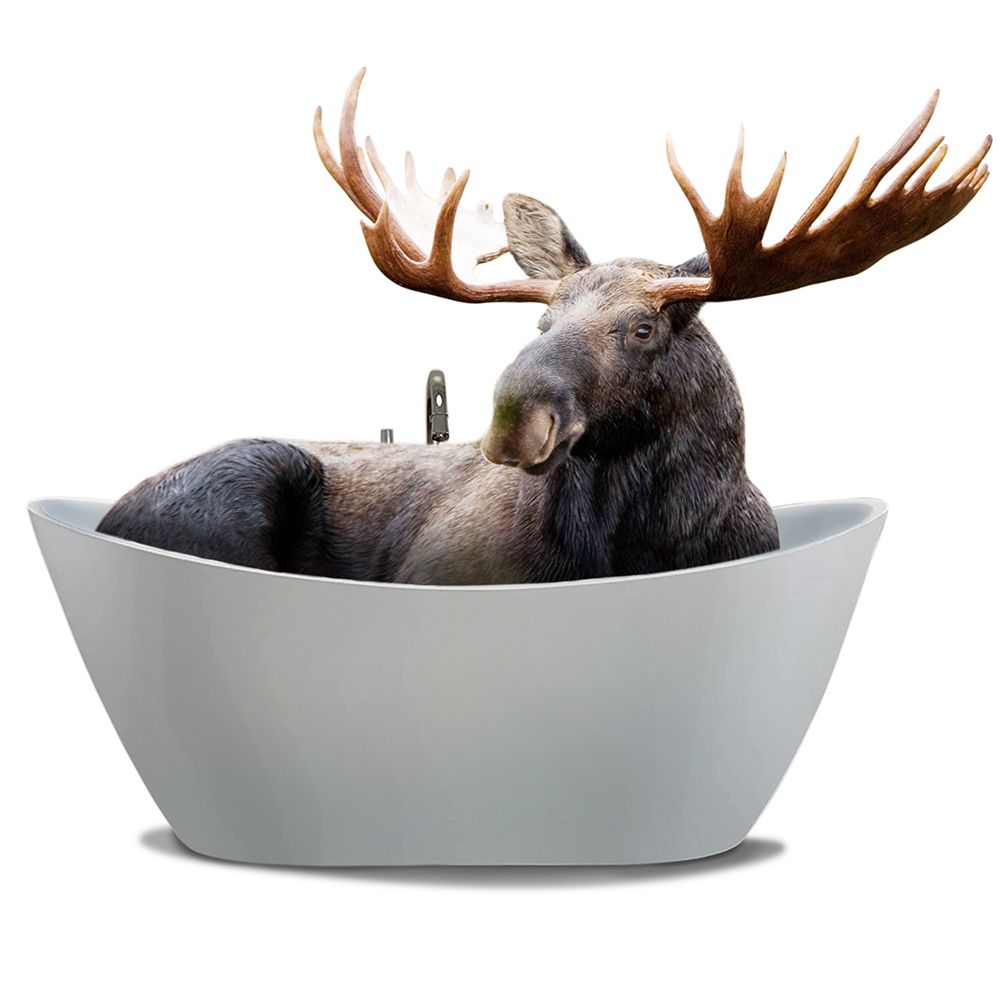 Wilderness Soak art print by Marcus Prime for $57.95 CAD