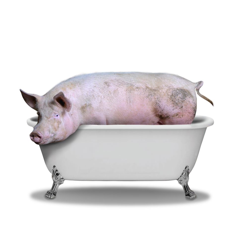 Piggy Bath art print by Marcus Prime for $57.95 CAD
