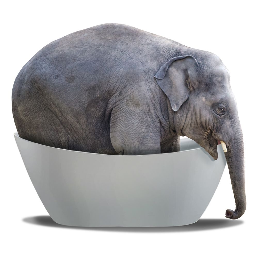 Safari Bath art print by Marcus Prime for $57.95 CAD