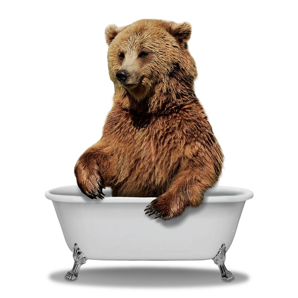 Wilderness Baths art print by Marcus Prime for $57.95 CAD