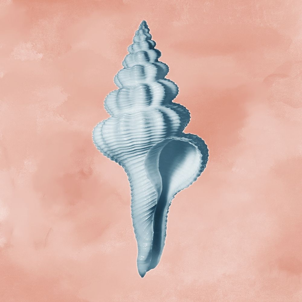 Miracles Of Delight 2 art print by Marcus Prime for $57.95 CAD