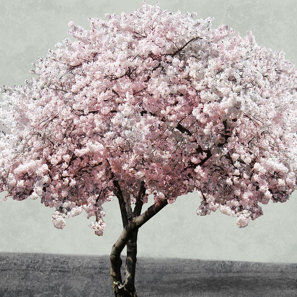 Western Night art print by Marcus Prime for $57.95 CAD