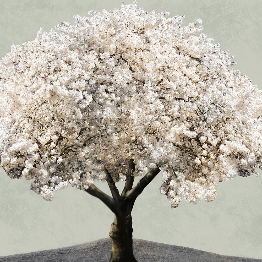 Spring Balance 1 art print by Marcus Prime for $57.95 CAD