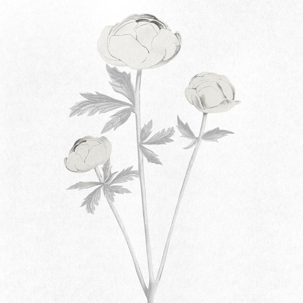 Rising Triplets 1 art print by Marcus Prime for $57.95 CAD