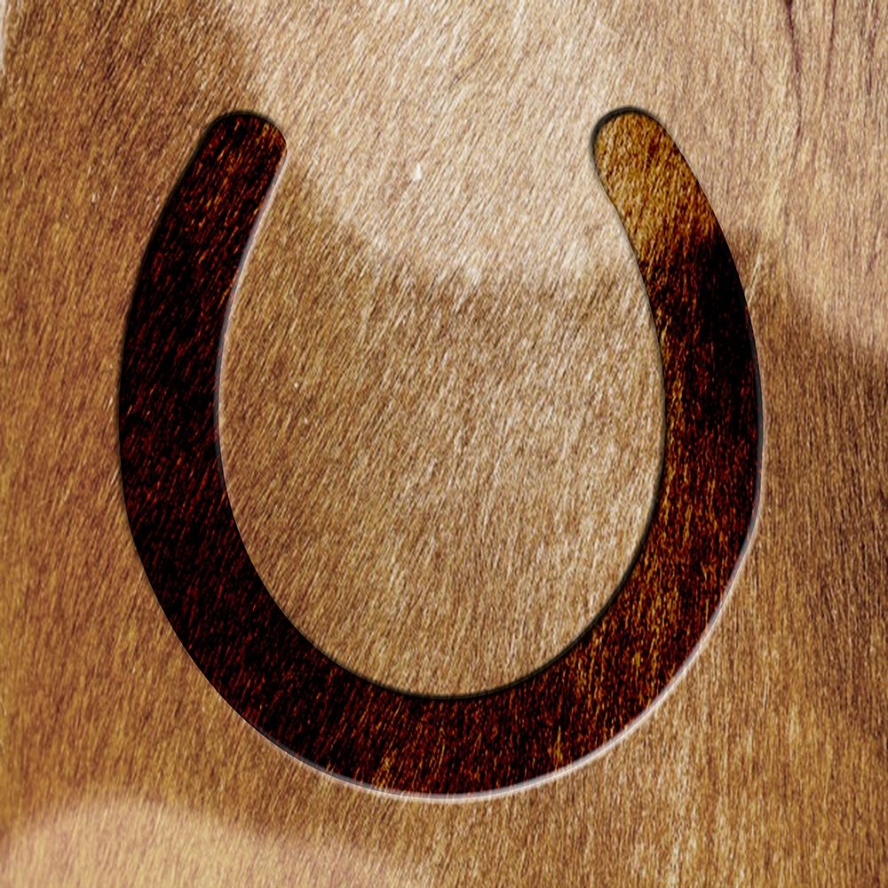 Horse Shoeing Around art print by Marcus Prime for $57.95 CAD