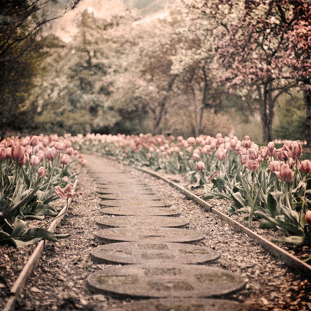 Path To Greatness art print by Marcus Prime for $57.95 CAD