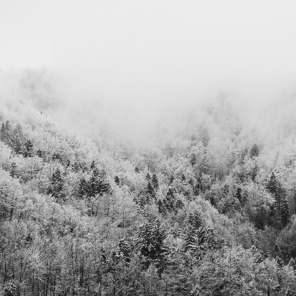 Winter Storm 1 art print by Marcus Prime for $57.95 CAD