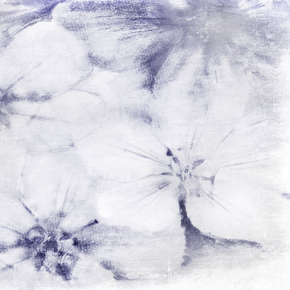 Striking Beauty 2 art print by Marcus Prime for $57.95 CAD