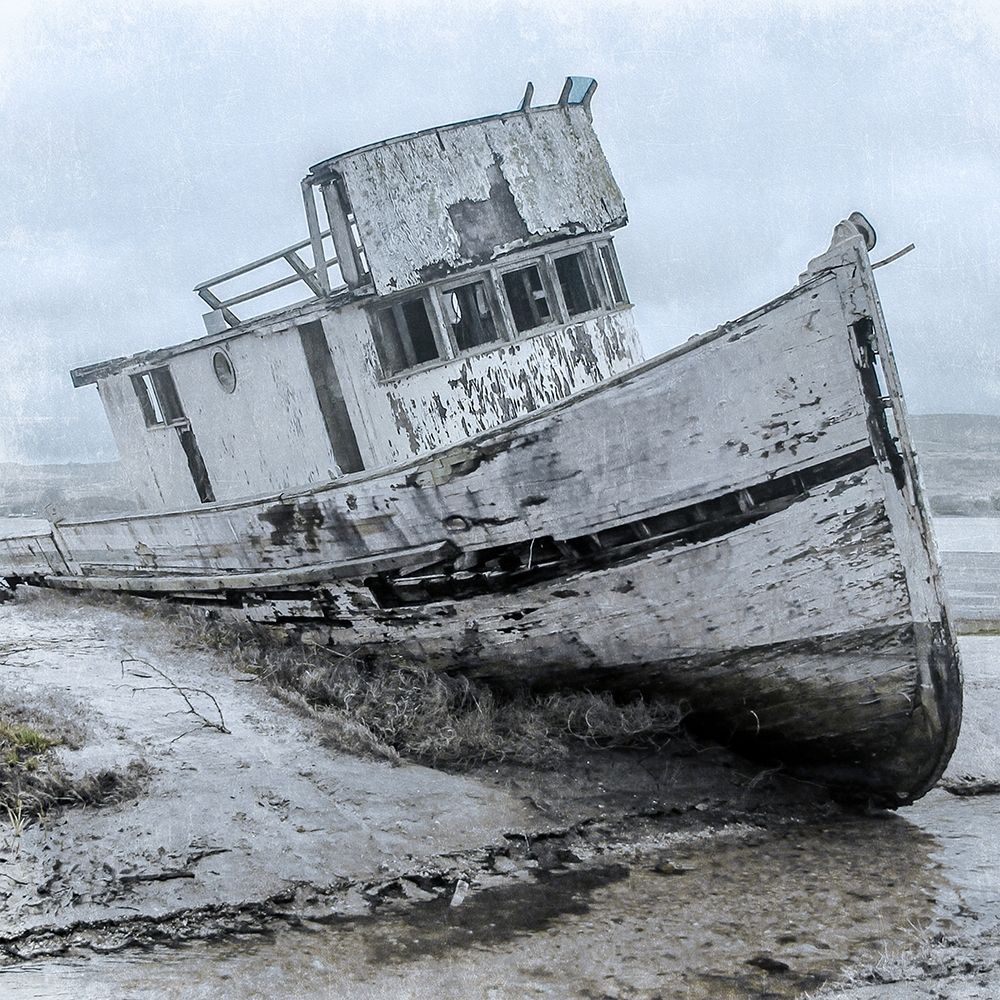 Shipwrecked Minnow 1 art print by Marcus Prime for $57.95 CAD