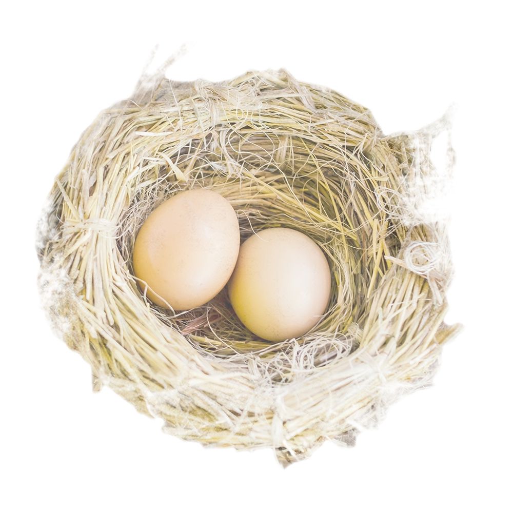 Pleasant Nesting art print by Marcus Prime for $57.95 CAD