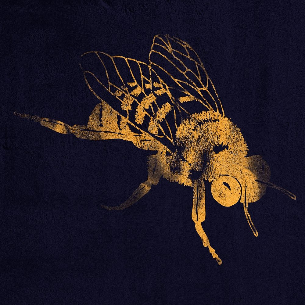 Honey Bee 1 art print by Marcus Prime for $57.95 CAD