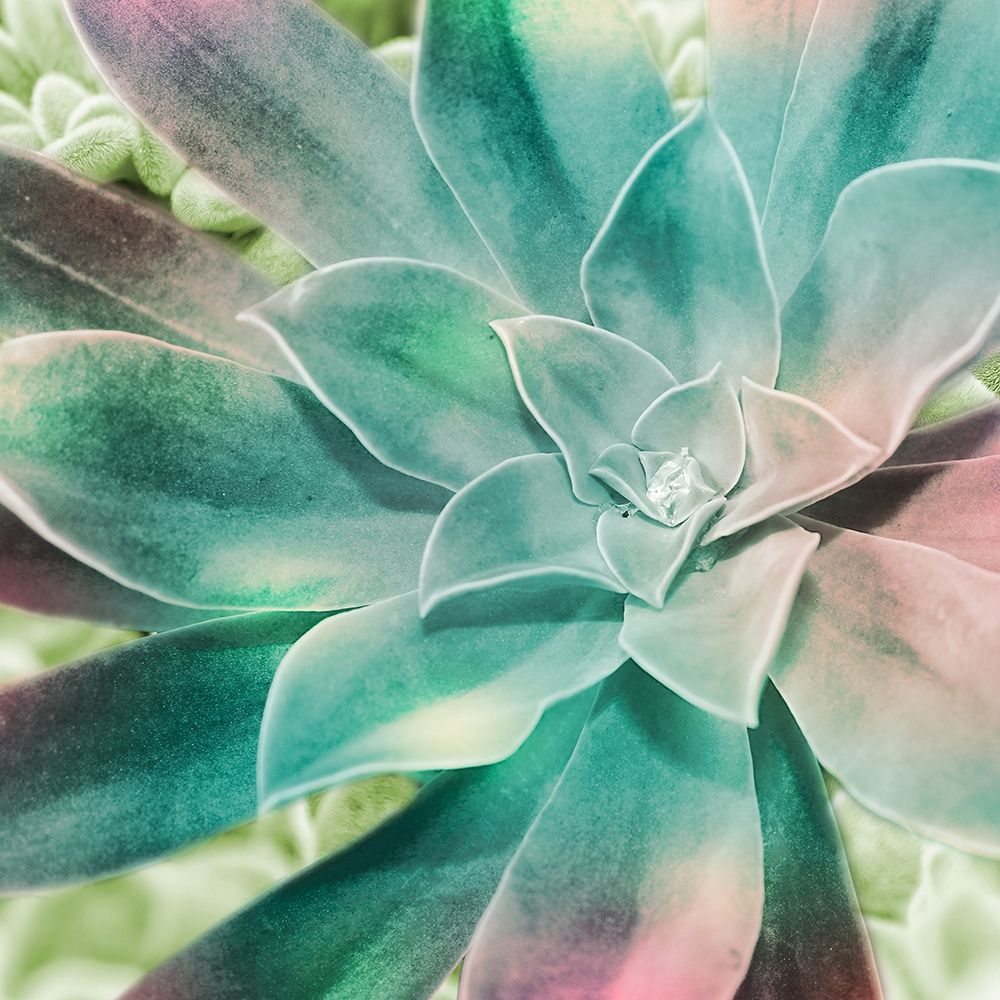 Springtime Magnifique 1 art print by Marcus Prime for $57.95 CAD