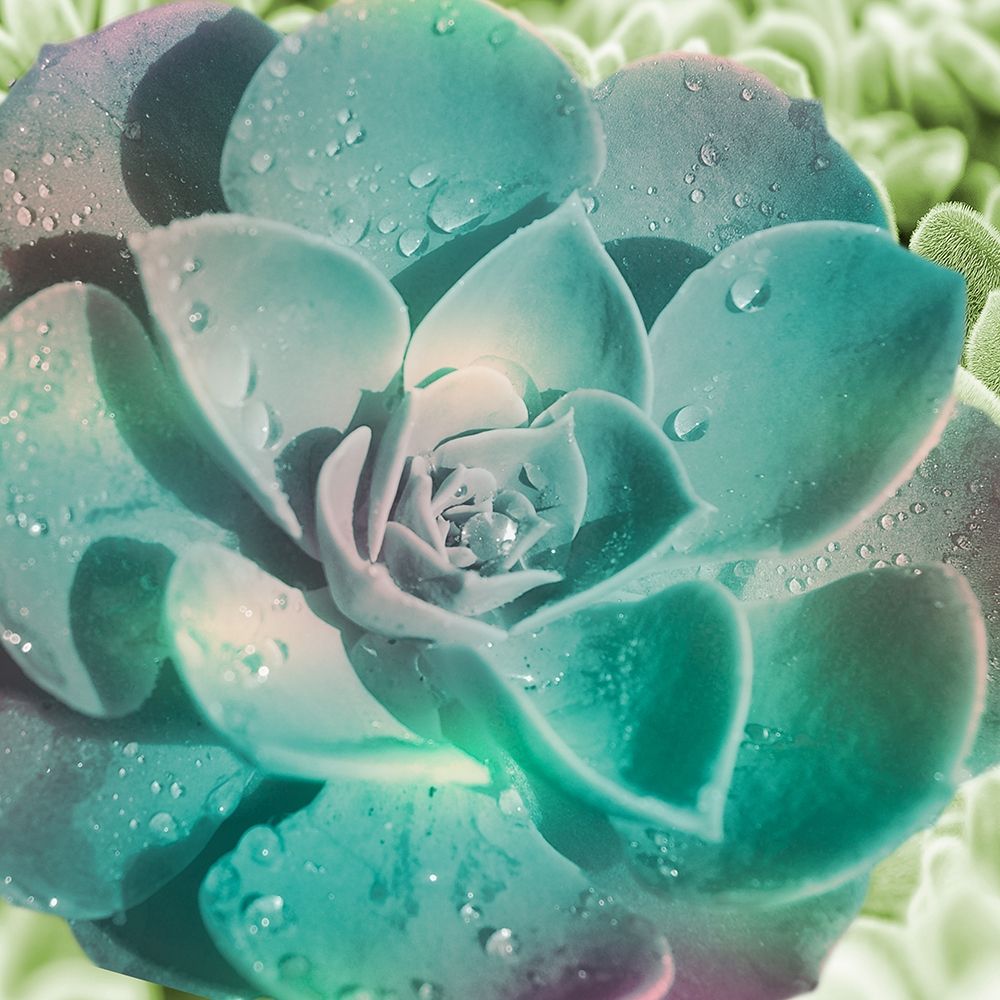 Springtime Magnifique 2 art print by Marcus Prime for $57.95 CAD