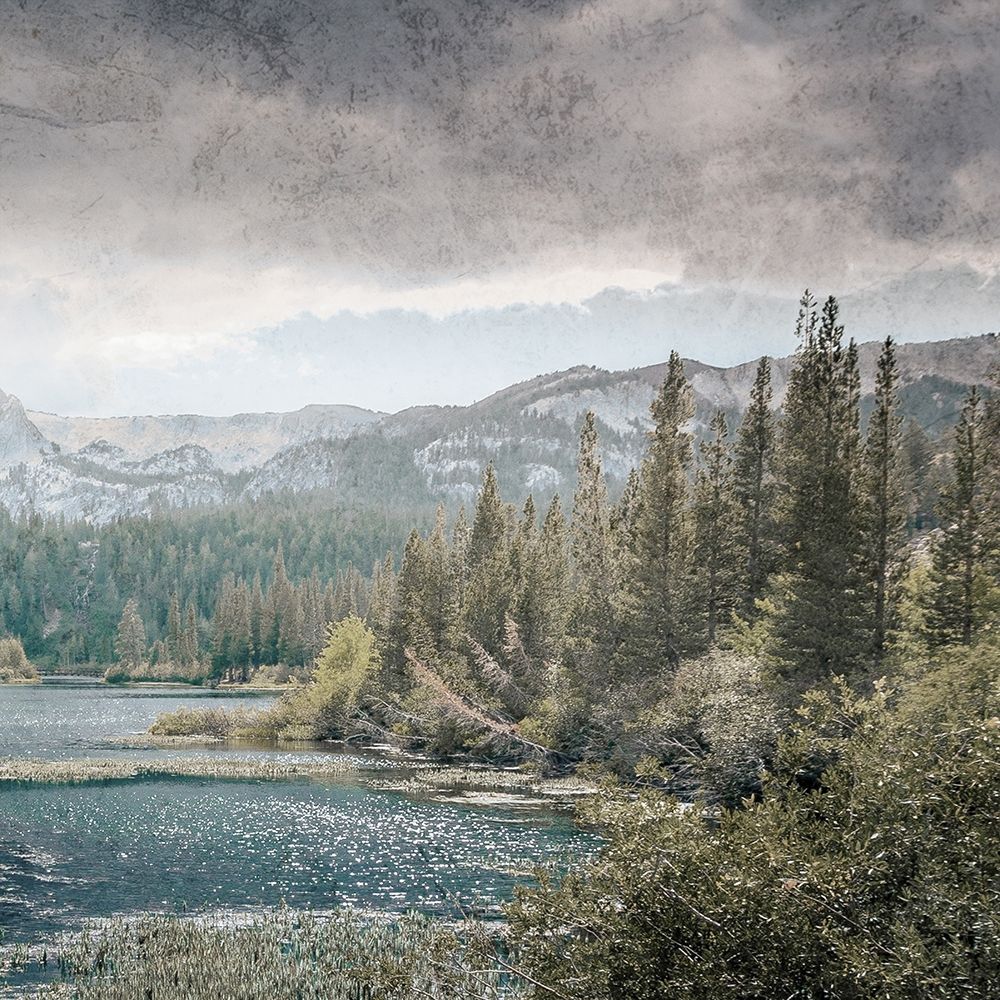 Wilderness Wonders 4 art print by Marcus Prime for $57.95 CAD