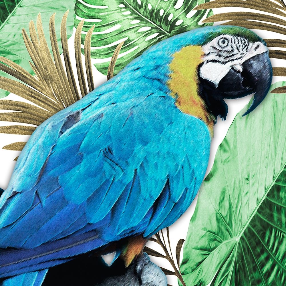 Tropical Views 2 art print by Marcus Prime for $57.95 CAD