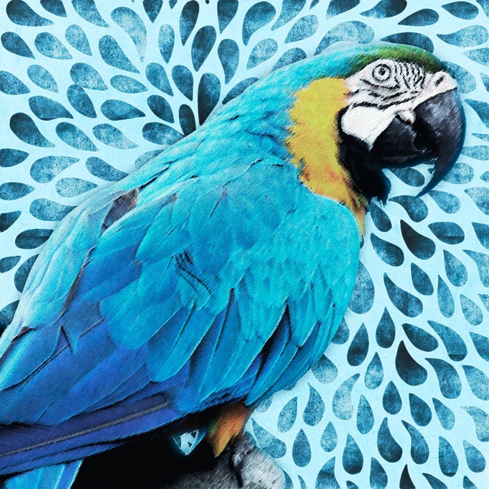 Tropical Views art print by Marcus Prime for $57.95 CAD