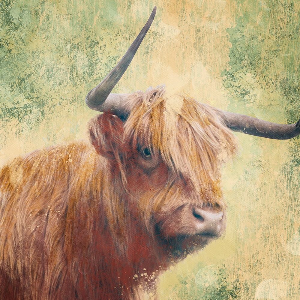 Furry Bull art print by Marcus Prime for $57.95 CAD