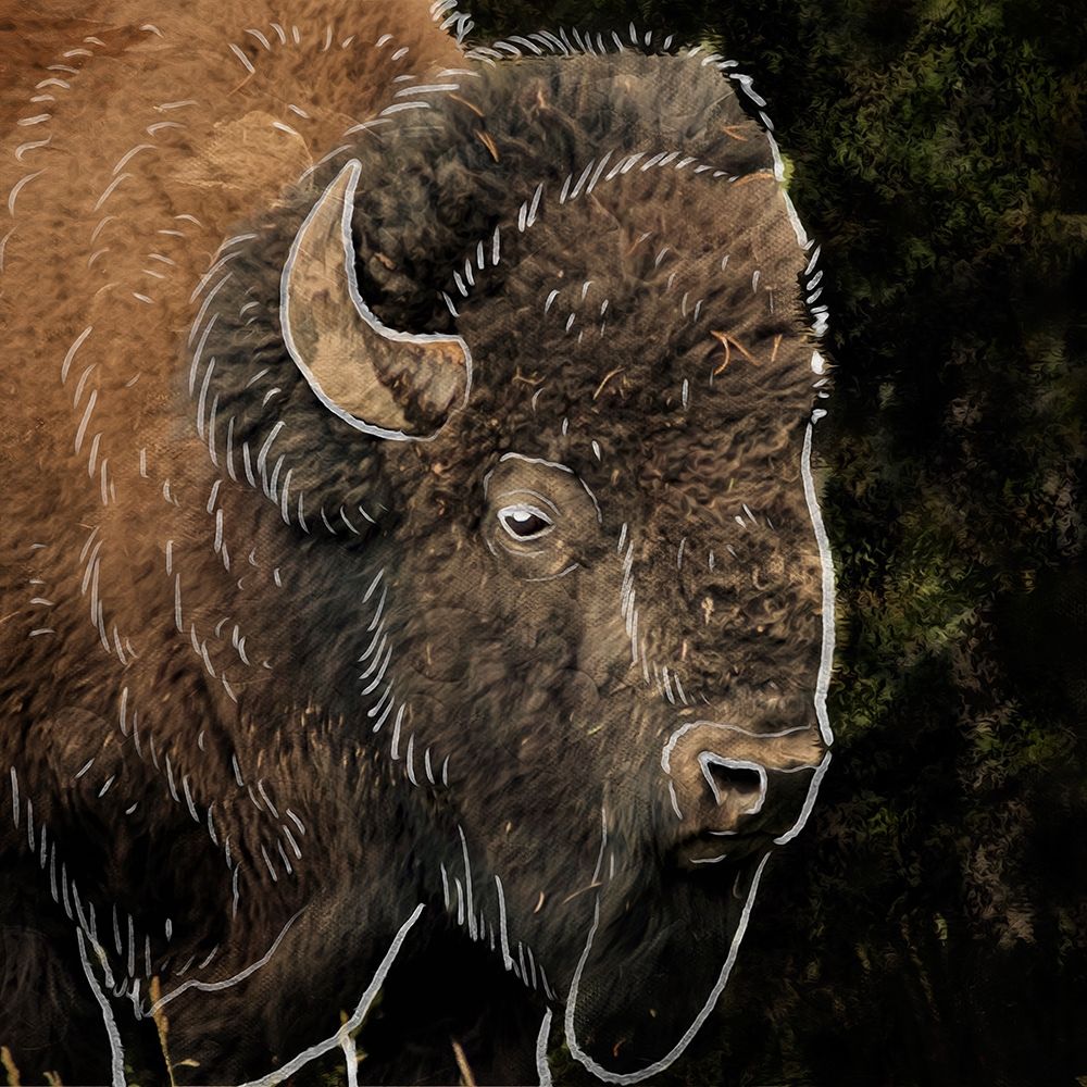 Illustrated Bison 1 art print by Marcus Prime for $57.95 CAD