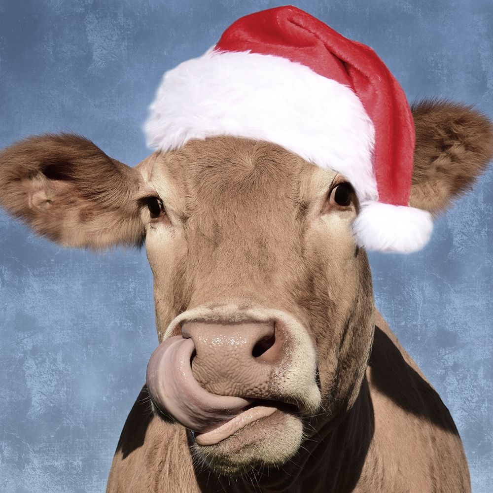 Christmas Stud art print by Marcus Prime for $57.95 CAD
