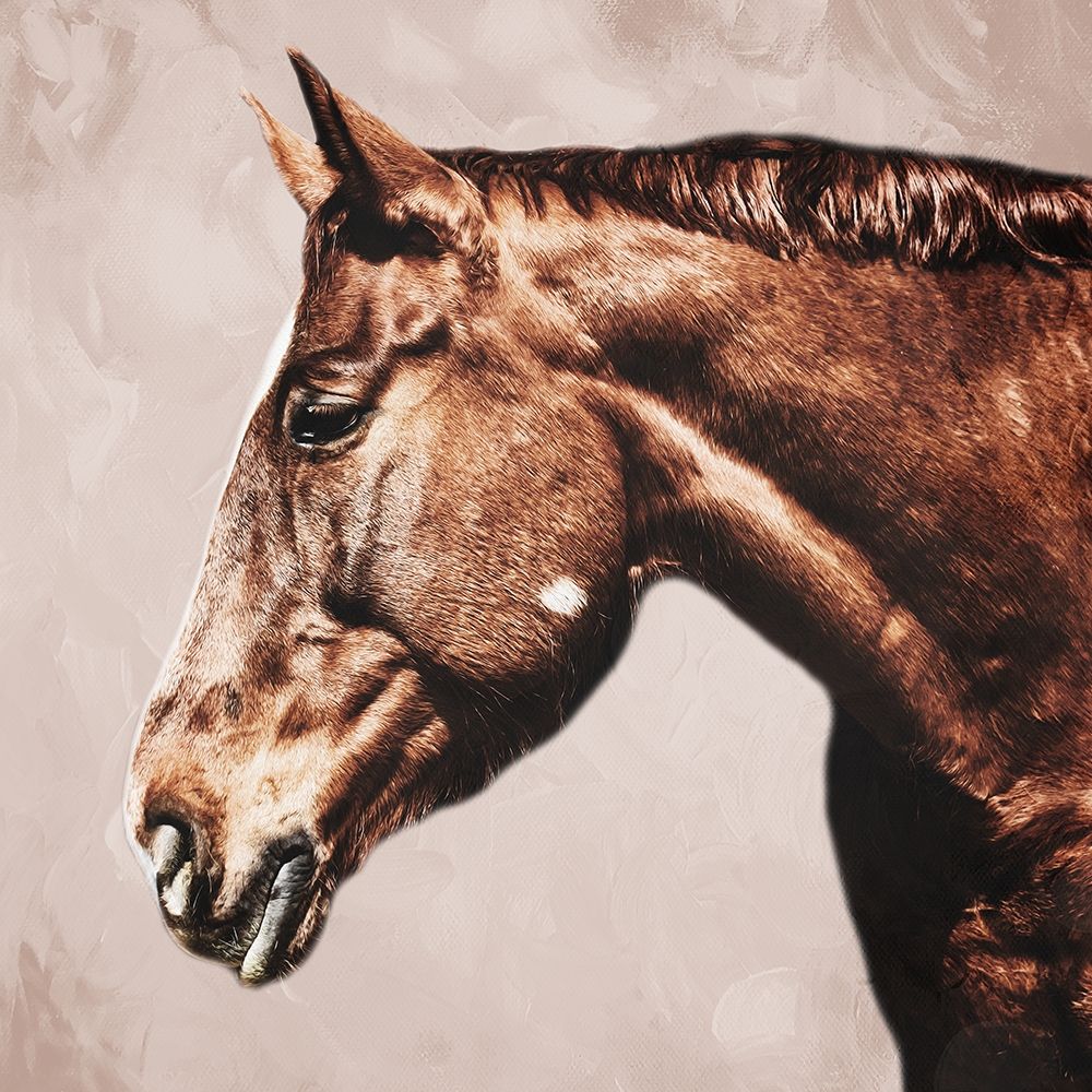 Marching Steed art print by Marcus Prime for $57.95 CAD